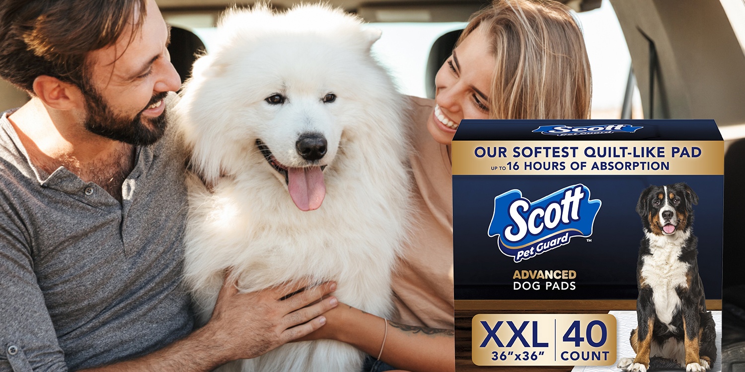 Scott｜Trusted Clean Toilet Paper,Durable Absorbent Paper For Daily Needs