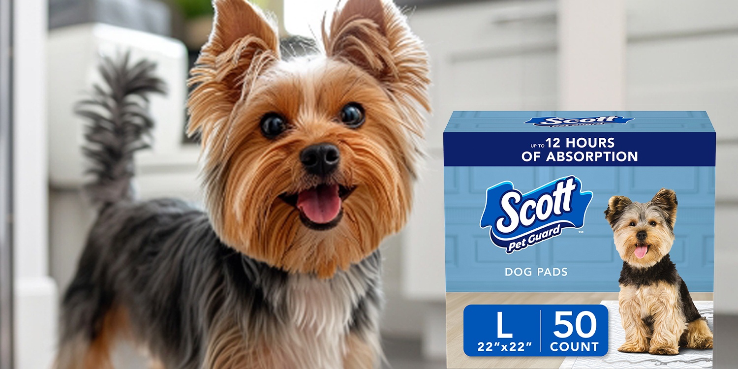 Scott｜Trusted Clean Toilet Paper,Durable Absorbent Paper For Daily Needs
